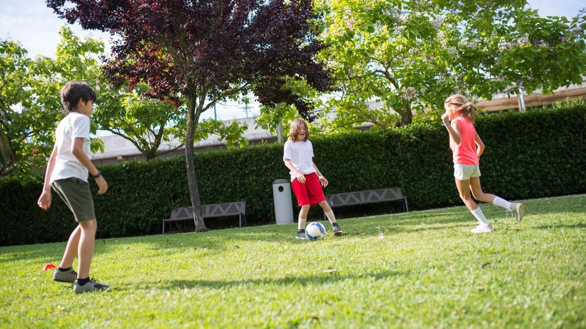 Kids playing football on a grassy field surrounded by green trees, enjoying a sunny day.